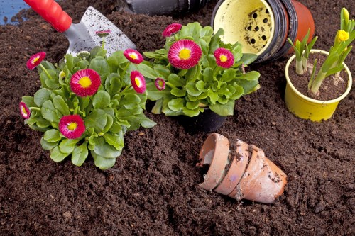 Seasonal lawn care in Feltham