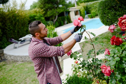 Gardener preparing to trim a hedge in a suburban area