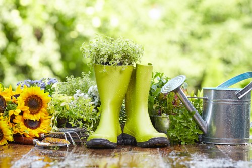 Affordable lawn mowing services in Feltham