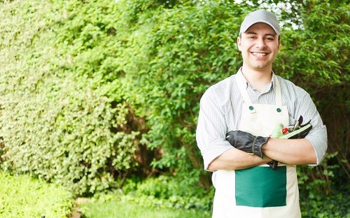 A professional gardener stands outdoors in a well-maintained garden with lush green foliage and a dense hedge in the background. He is smiling, wearing a grey cap, a light-colored striped shirt, and an apron with a front pocket, holding garden shears. The garden features a neatly trimmed hedge, a grassy lawn with dense, healthy grass, and nearby plantings or shrubs that are part of the landscaped outdoor space. The environment suggests a temperate climate, with natural daylight illuminating the scene and indicating mild weather conditions. This setting exemplifies outdoor garden maintenance and hedge trimming services typical of a property in Feltham or the surrounding area, aligning with professional gardening and landscape upkeep offered by Hedge Trimming Feltham. The background's greenery emphasizes the value of well-kept outdoor spaces and the importance of professional garden care in enhancing property aesthetics and outdoor functionality.